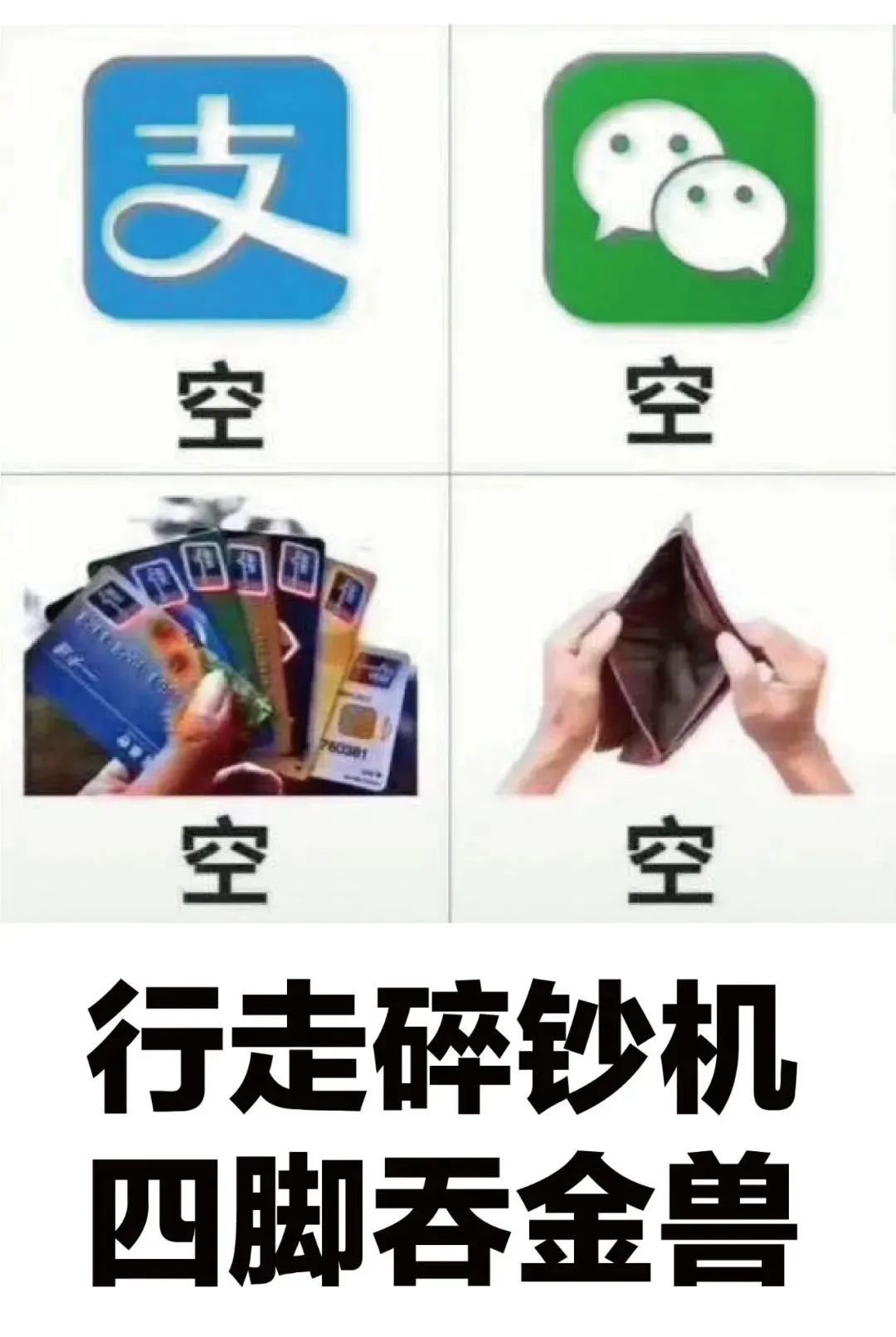 一大波体育培训班正在路上,碎钞机功率又增大了!