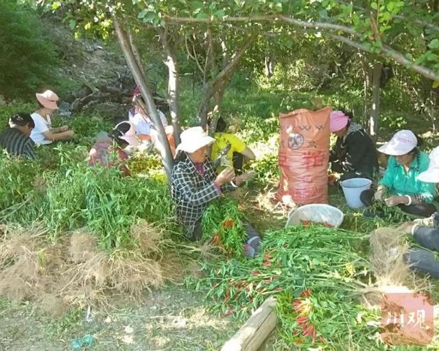 泸州市2020公务员成_『四川省考』2020上半年泸州市公务员考试公告_职位