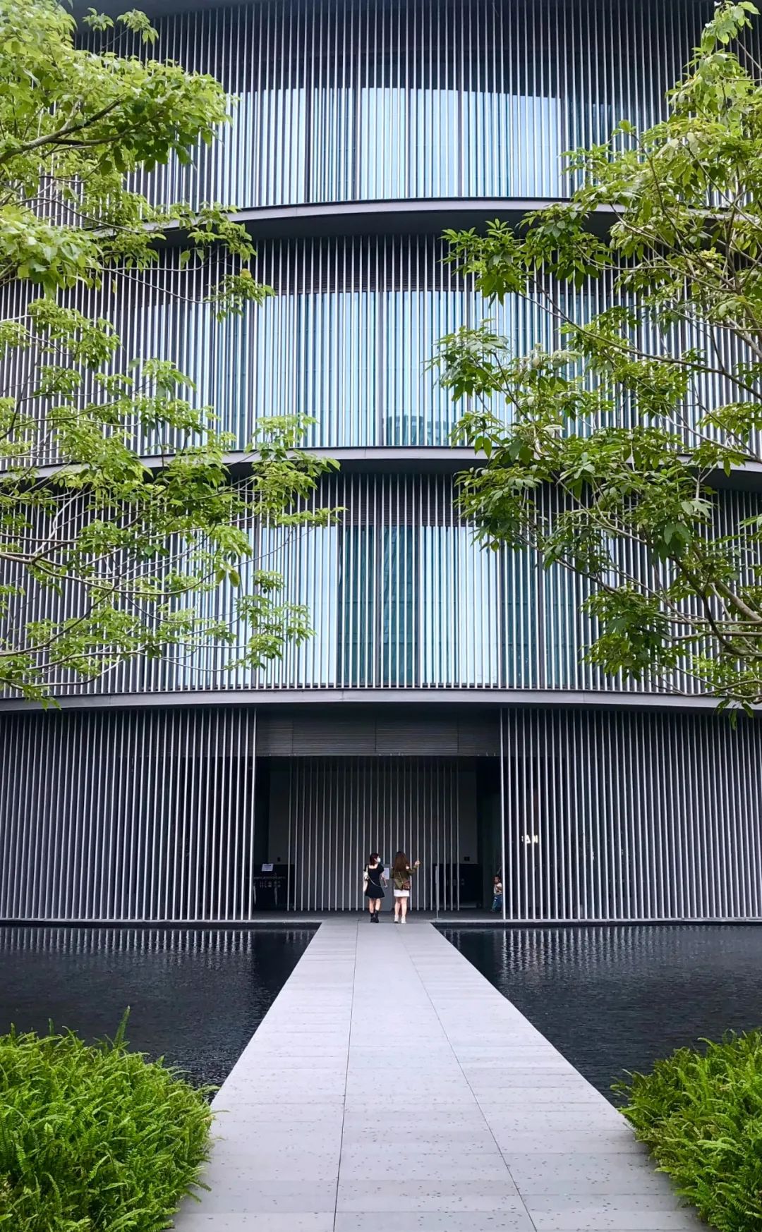 美!79岁安藤忠雄建成这座「世界唯一」的美术馆,就在广东