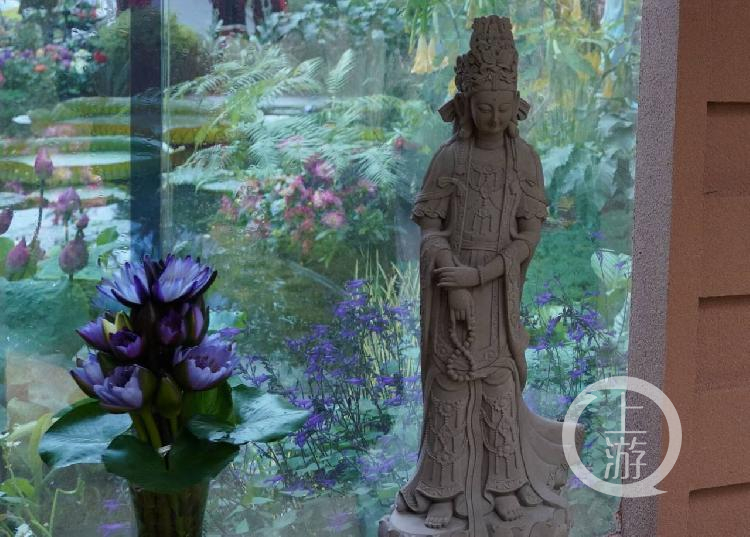 世上真有蓝莲花 它在花博会等你 蓝莲花 花博会 花园 新浪新闻 世上真有蓝莲花 它在花博会等你 蓝莲花 花博会 花园 新浪新闻