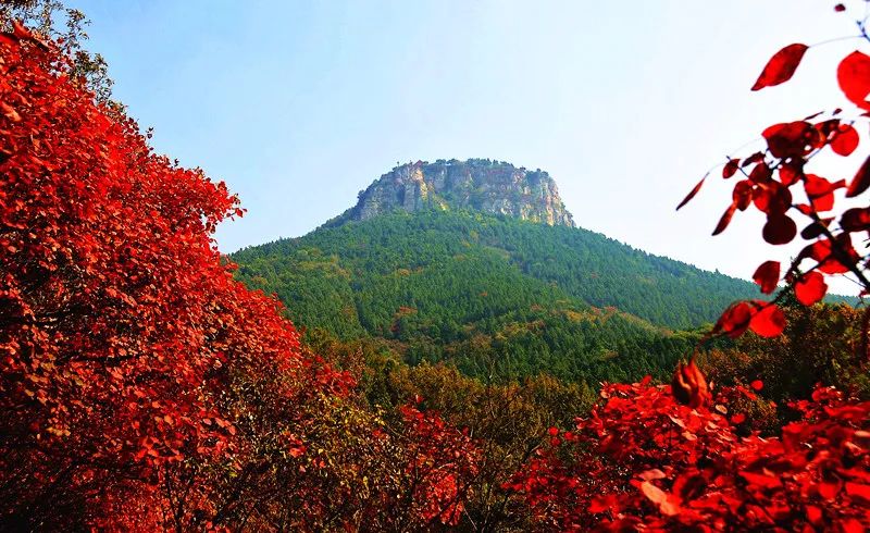 【周末特惠枣庄自驾】走进抱犊崮国家森林公园 葫芦套风景区 感受秋日