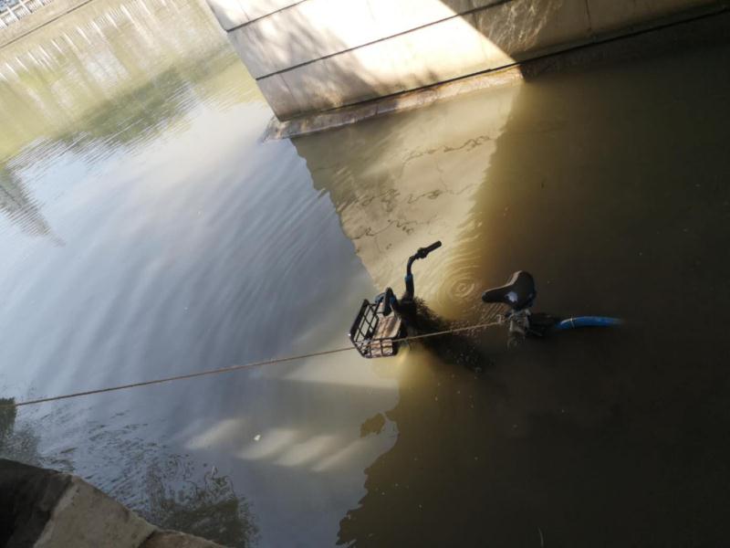 不满被扣20元调度费 两男子将6辆共享单车丢河里被刑拘