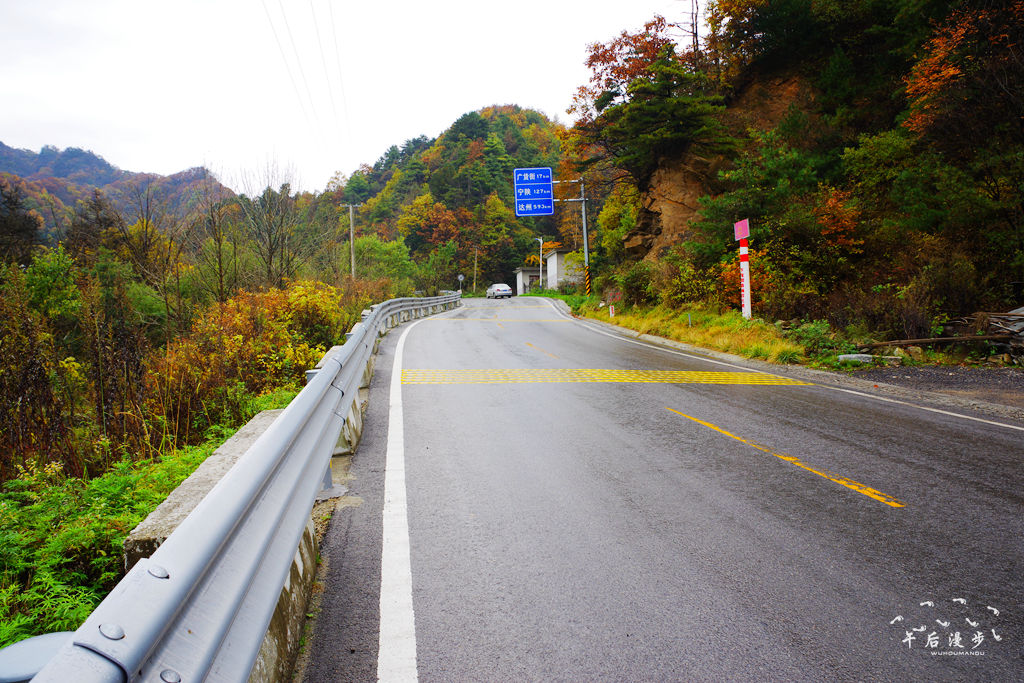 金秋时节 210国道,沣峪口一路向南 山上山下层林尽染