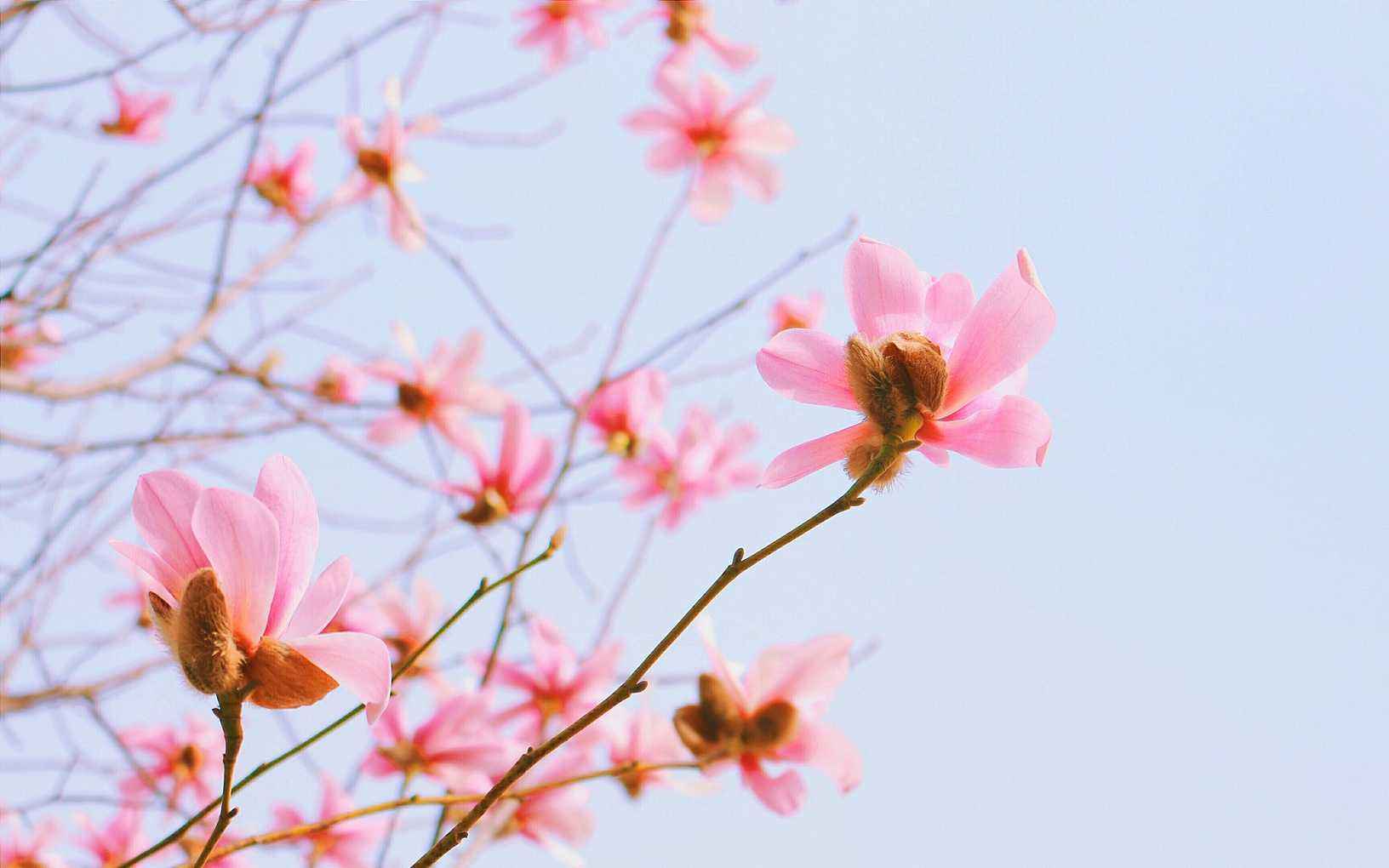 聪慧灵敏最有魅力的3星座让人如沐春风无法自拔