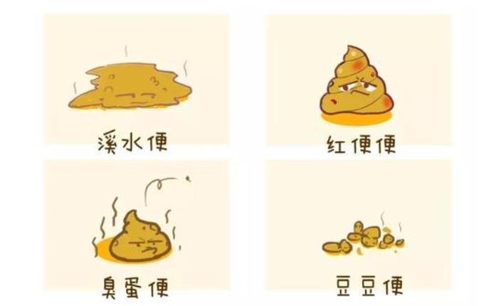 肠道生病了,晨起排便会有这4个表现,就看你细不细心了!