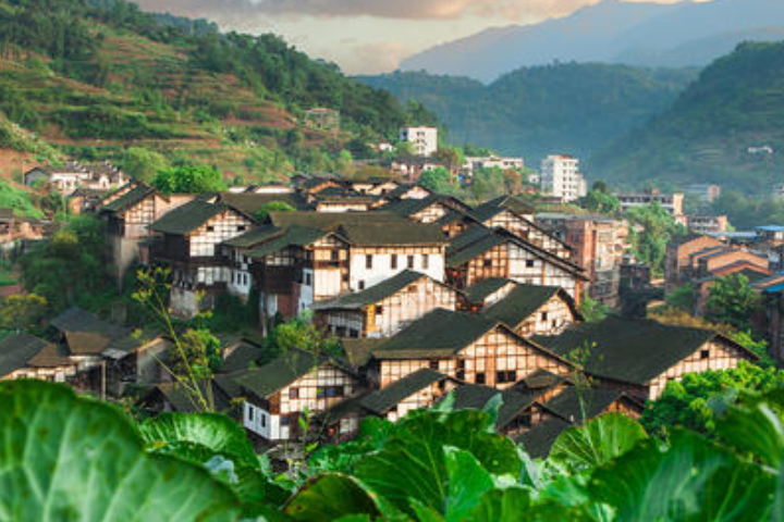 其中有一条老街叫做"回龙街",这是全镇保存最为完整的一条古街道了.