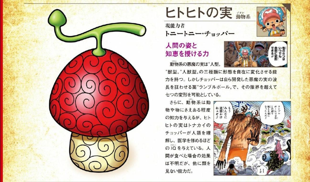 海贼王乔巴的梦想和人人果实有关真是最没用的可能成bug