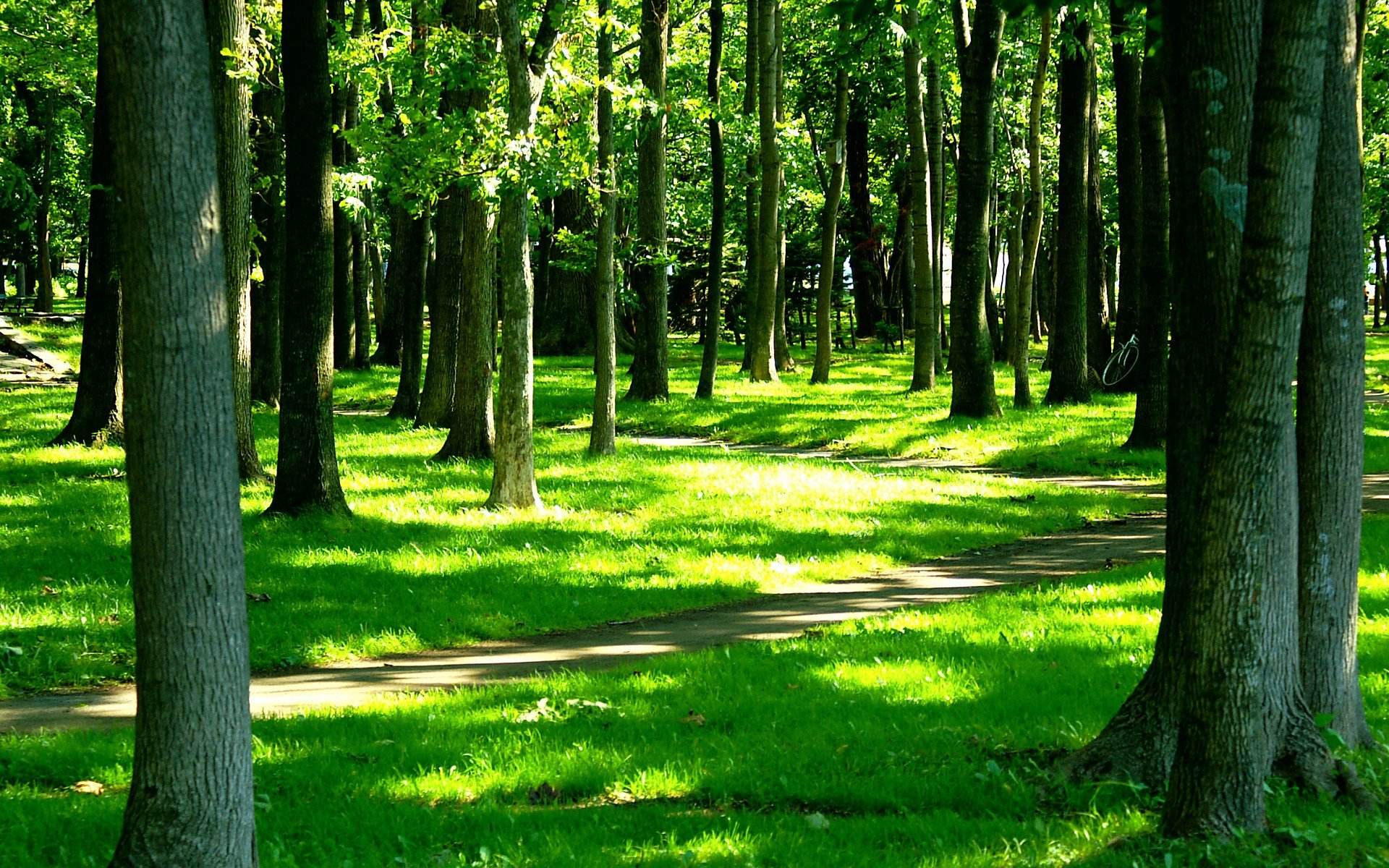 随遇而安的3星座,及时调整好心态,从容去应对