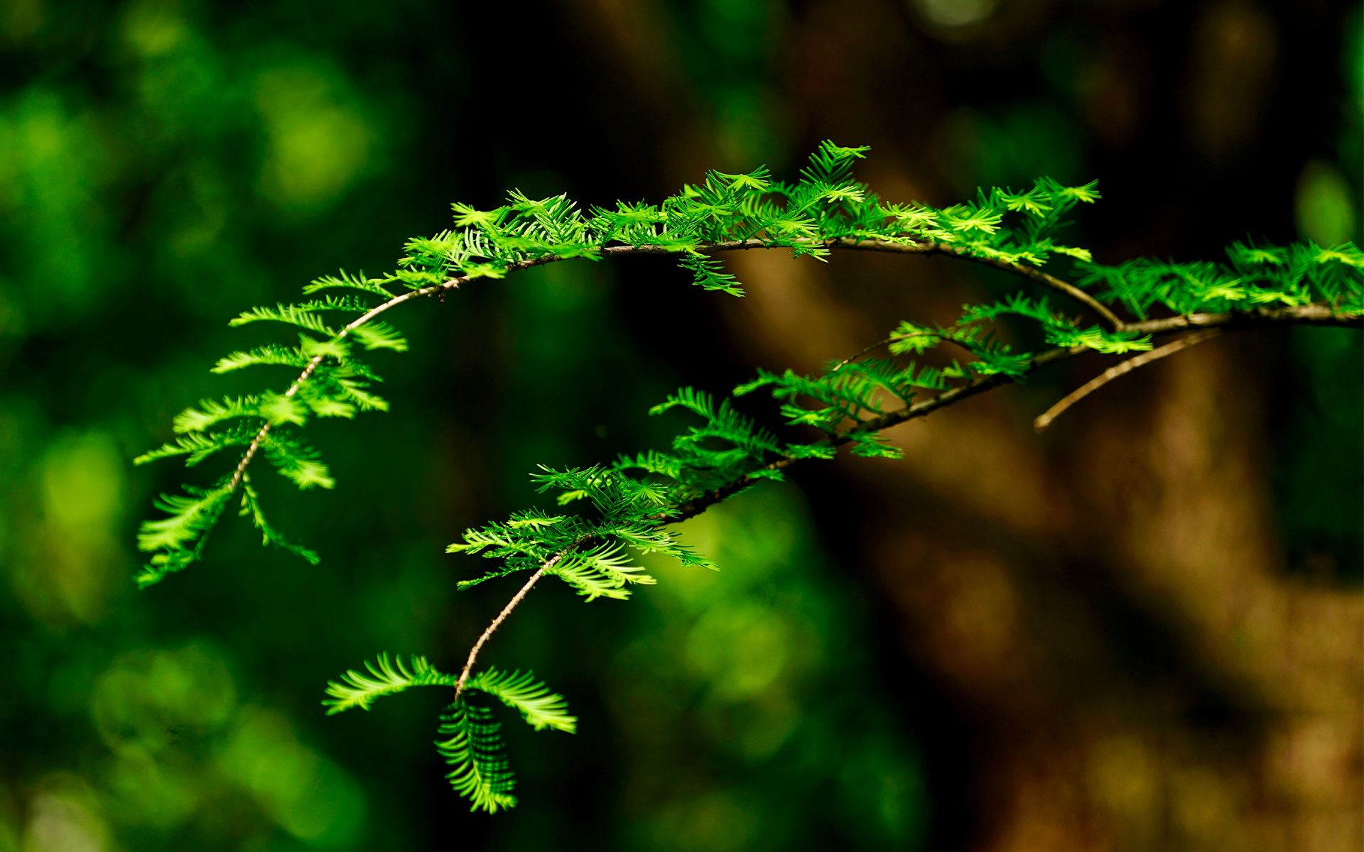 聪慧灵敏最有魅力的3星座让人如沐春风无法自拔