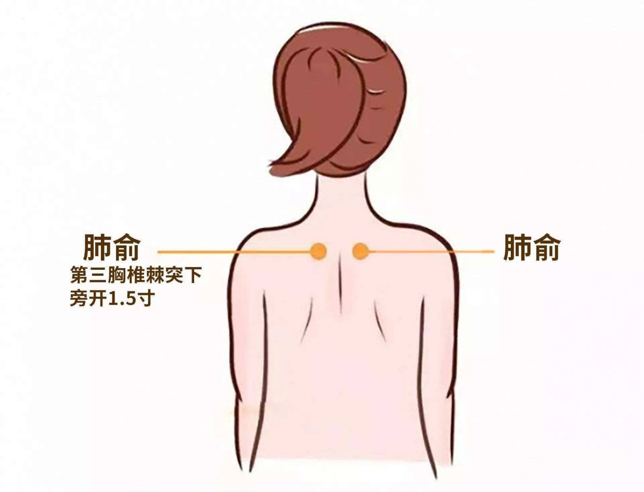 位置:肺俞穴在背部,当第3胸椎棘突下,旁开1.5寸.