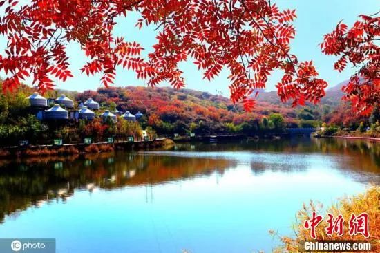 河北保定市唐县小香山的秋日红叶。图片来源：ICphoto