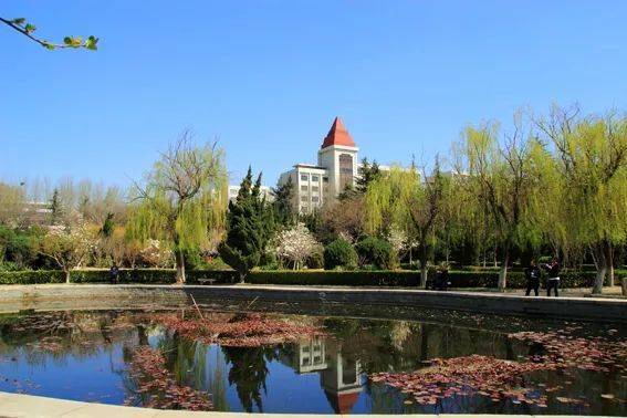 鲁东大学九十岁,生日快乐!|专科学校|烟台|山东省_新浪新闻