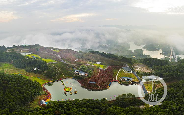 《雾漫多彩植物园》组照五冯亚宏 摄于巴南区南彭水竹村南湖多彩