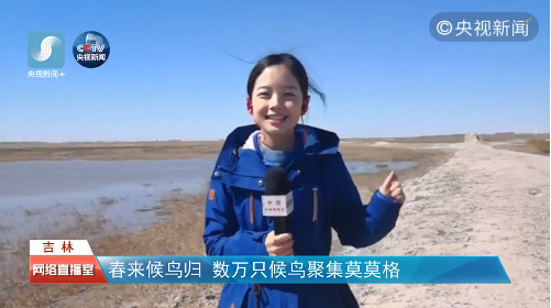 央视90后"初恋脸"女记者走红:为什么女孩要有文化,这是我见过最棒的