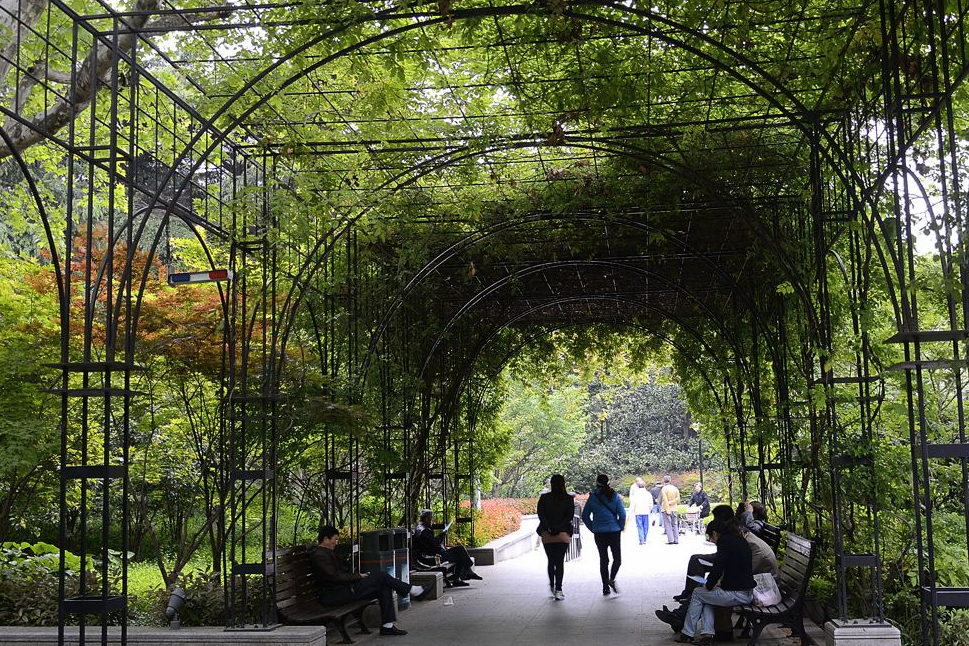 上海又一公园走红,独具法国古典风格,占地8万平米门票0元