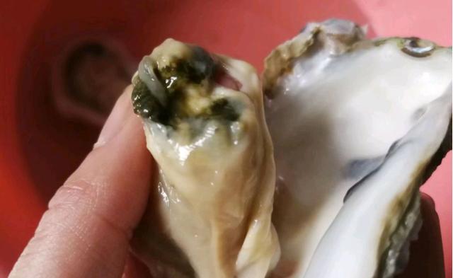 蒜蓉粉丝蒸生蚝只要跟着步骤一点点做蒸出来的比饭店还香