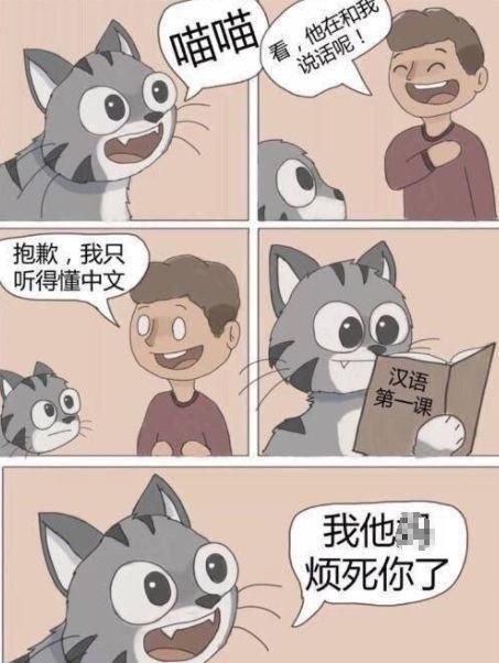 6 你瞅啥 咋滴 7 算虐猫了吧?