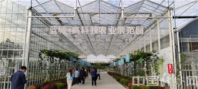 高科技农业示范园。经济日报-中国经济网记者宋雅静/摄
