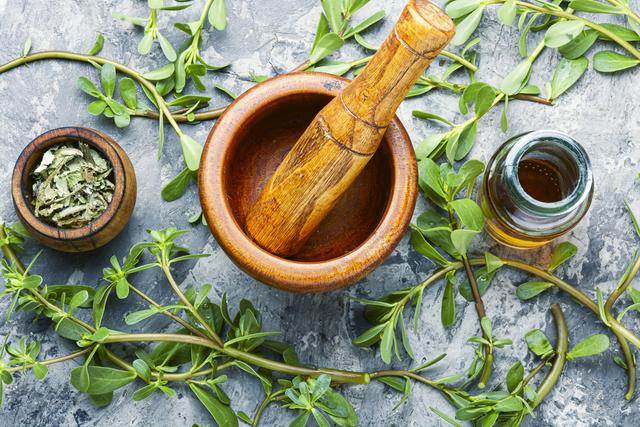 惊呆了，吃马齿苋导致急性肾损伤？小小野菜吃起来很有讲究休闲区蓝鸢梦想 - Www.slyday.coM