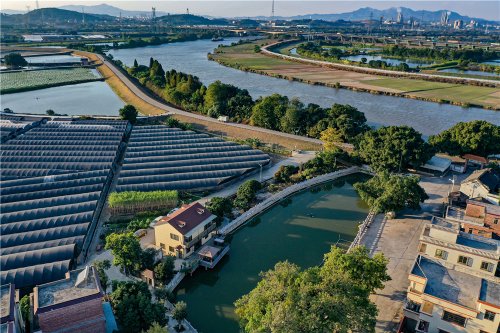 周末哪里逛?去江高镇看骑楼吃糖水吧