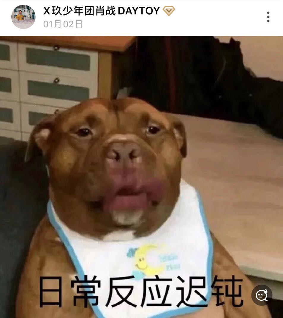 明星们的沙雕日常都藏在.