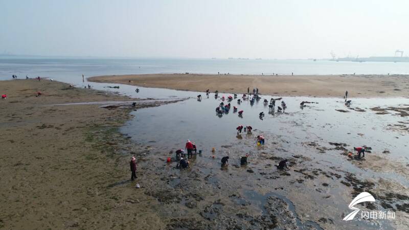 组图丨去威海石岛赶海吧!抓螃蟹挖蛤蜊超过瘾