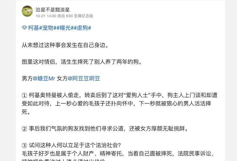 情侣被指“当狗主人面摔死宠物狗”，成都警方回应：正核实休闲区蓝鸢梦想 - Www.slyday.coM