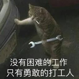 ▲图片来自网络。