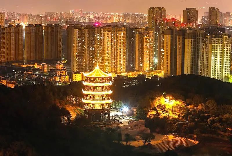 晋江文学城电脑版