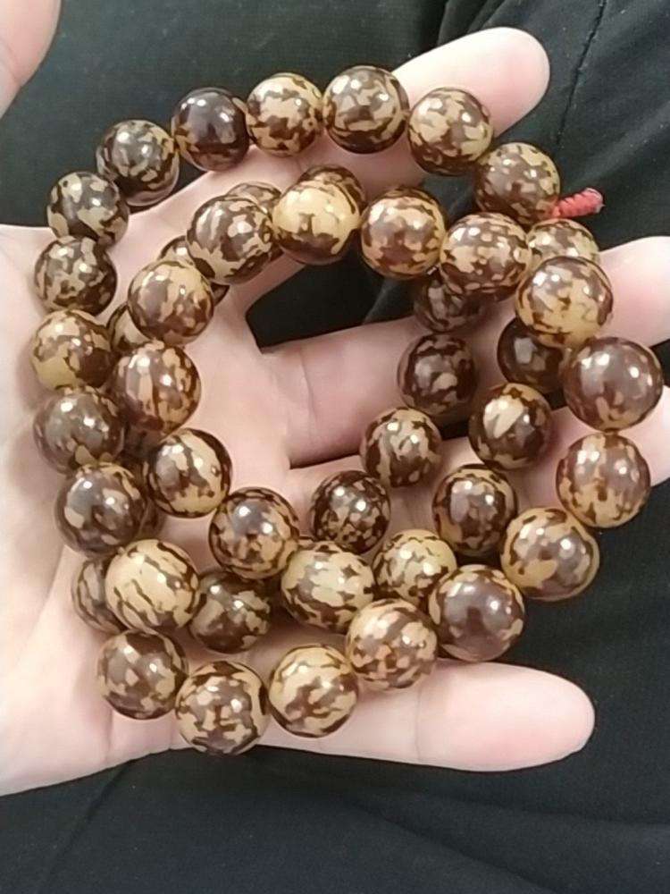 第1种菩提根:700年前引进中国的贝叶棕的种子,云南寺庙周边都有,白