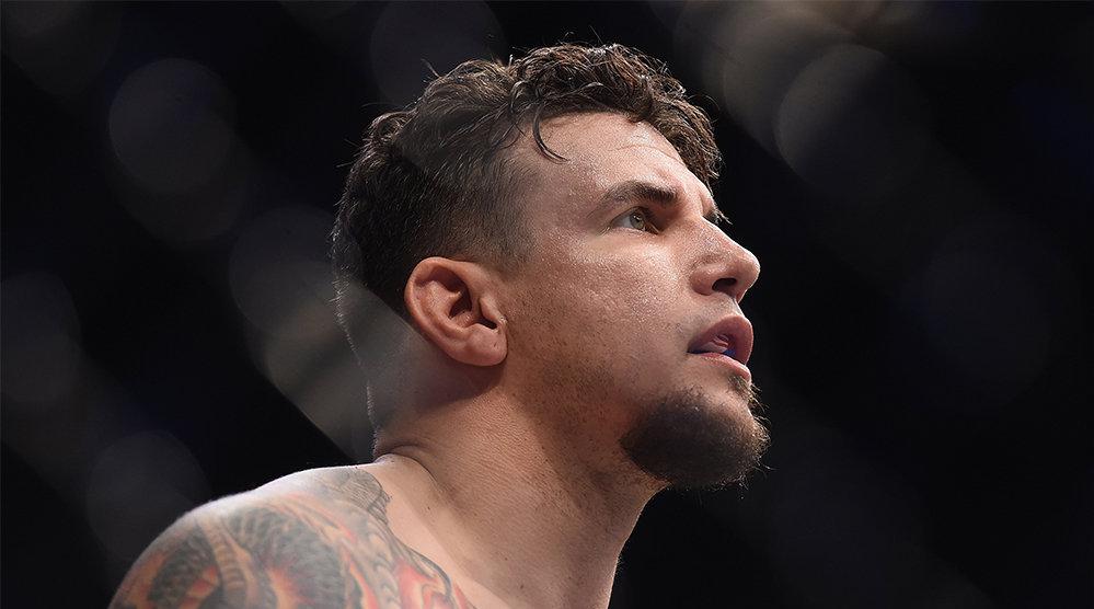 小鹰哈比布,ufc不败的冠军,不少人认为他就是史上最强