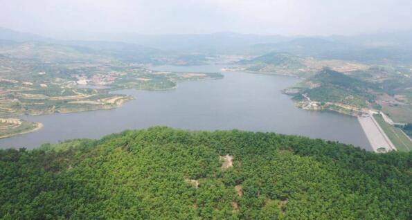 海阳水利局：小型水库体制改革引“一池活水”