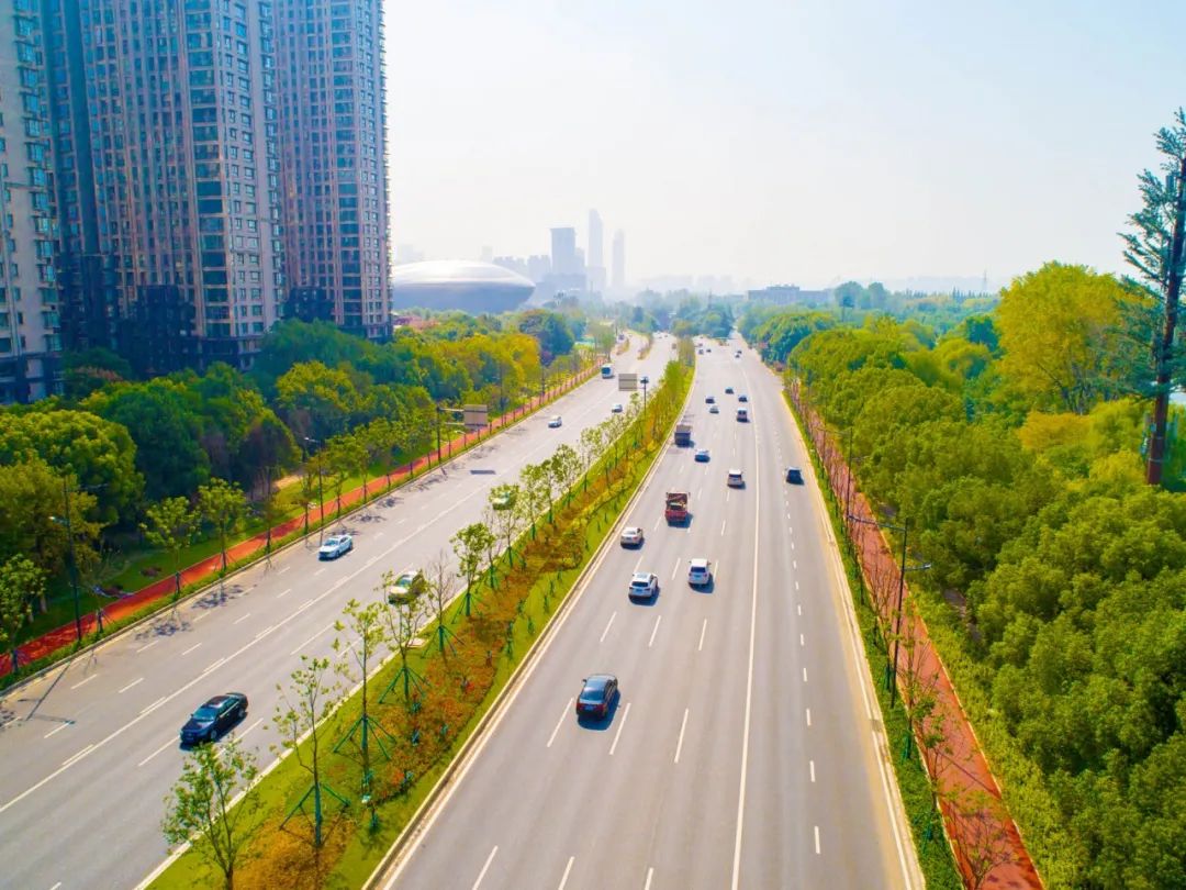 明年6月底扬子江大道全面实现快速化
