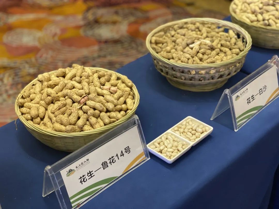 "双11剁手"不如助农 火山"农八鲜"进京首亮相