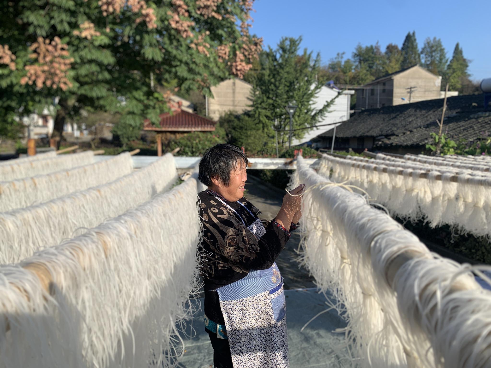 余姚大岚天晴晒粉忙