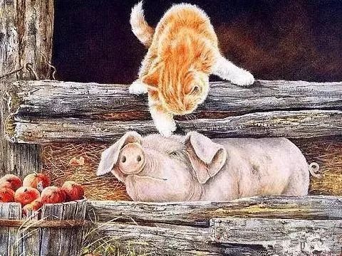 这是我见过最傻x 又最感动的故事!