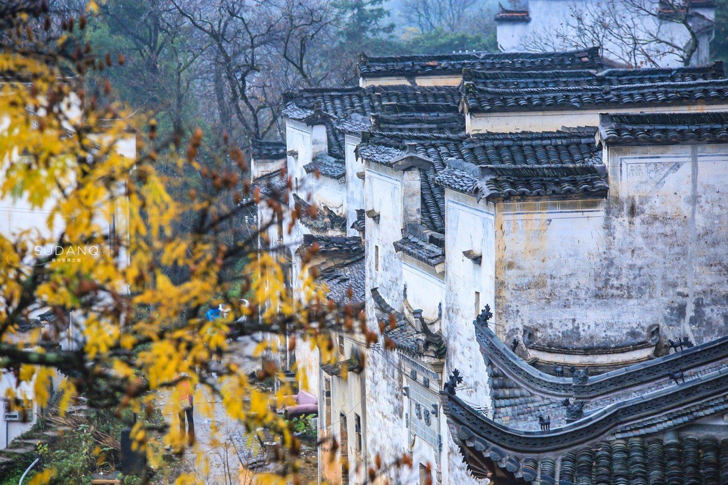 今天,一个多年未联系的骑友找到我(微信)……|塔川|骑车|南浔古镇