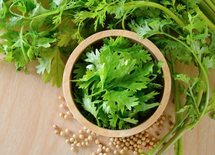 特别是皮肤过敏的人,也不适合吃香菜,会加重过敏反应2,气虚的人不能吃