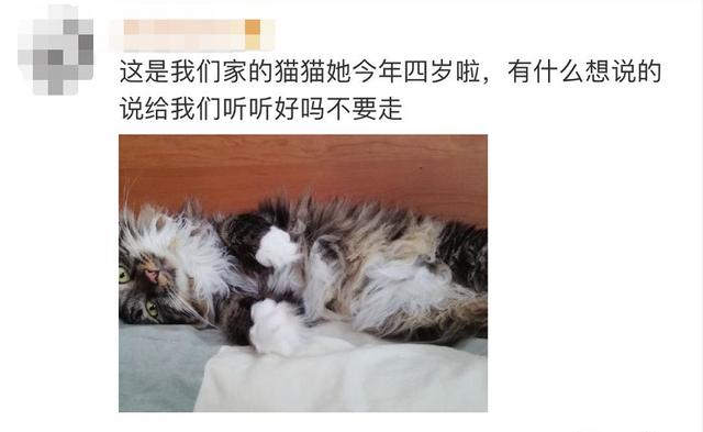 “到告别的时候了！”一条微博牵动无数网友，警方紧急出动休闲区蓝鸢梦想 - Www.slyday.coM