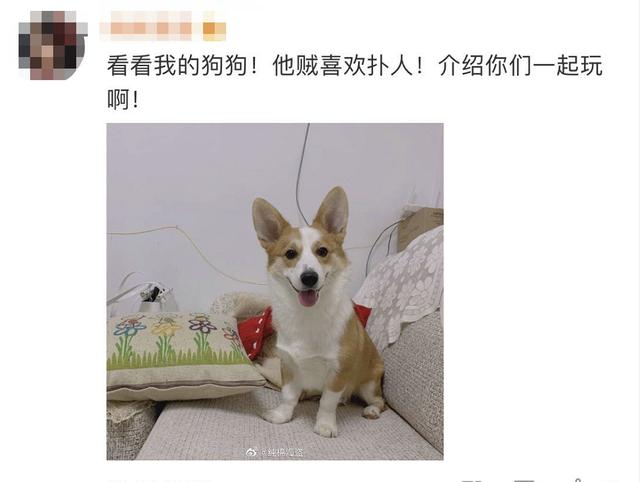 “到告别的时候了！”一条微博牵动无数网友，警方紧急出动休闲区蓝鸢梦想 - Www.slyday.coM