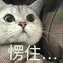 已致6人肾损伤！这种"长寿菜"，很多人都爱吃休闲区蓝鸢梦想 - Www.slyday.coM