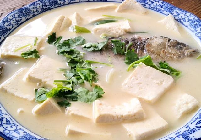 豆腐鲫鱼汤怎么做才能奶白浓郁,汤汁鲜甜很好喝|豆腐|鱼汤|乳白色