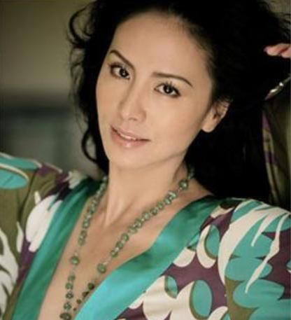 田丽:遭马景涛家暴,被富豪抛弃后又嫁小鲜肉,今53岁孤身一人