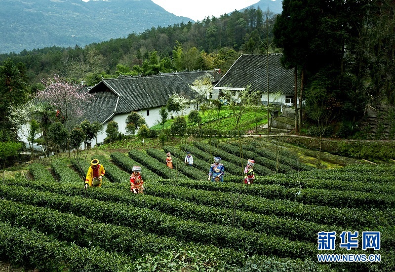 洞下槽村的逆袭之路