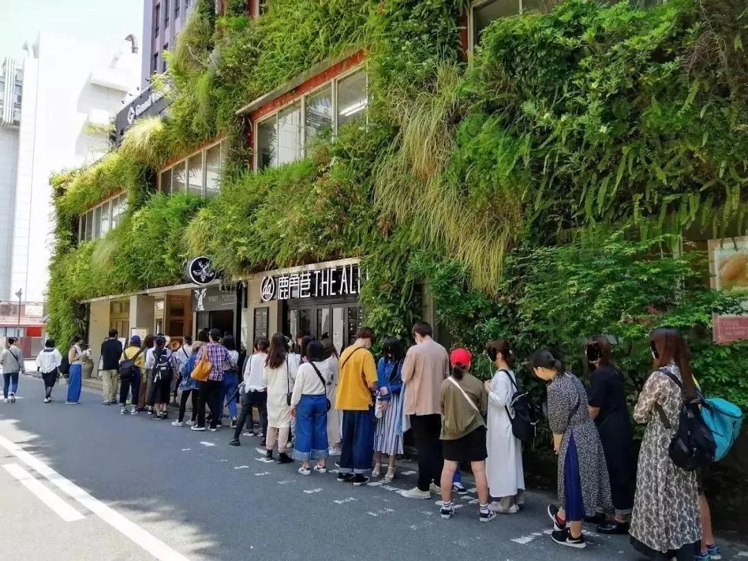 日本年轻人不爱珍珠了,连黑社会都想开的奶茶店各种改行悲剧啊