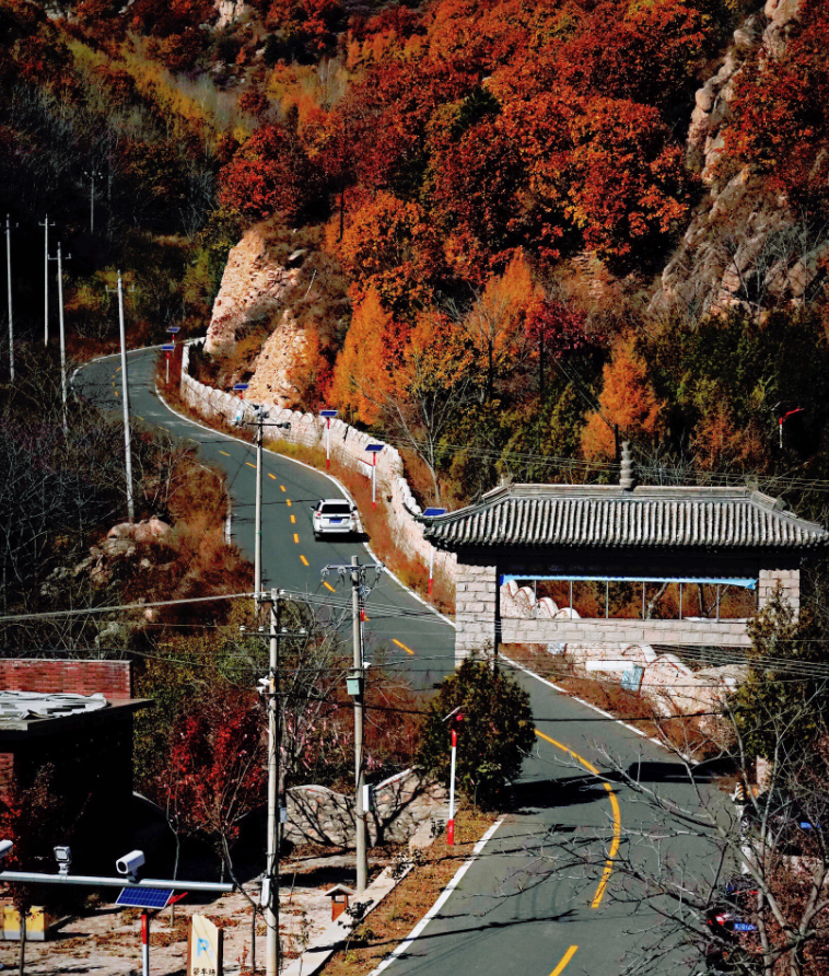 去香山的路都堵死了北京周边想看红叶真的不用这么挤