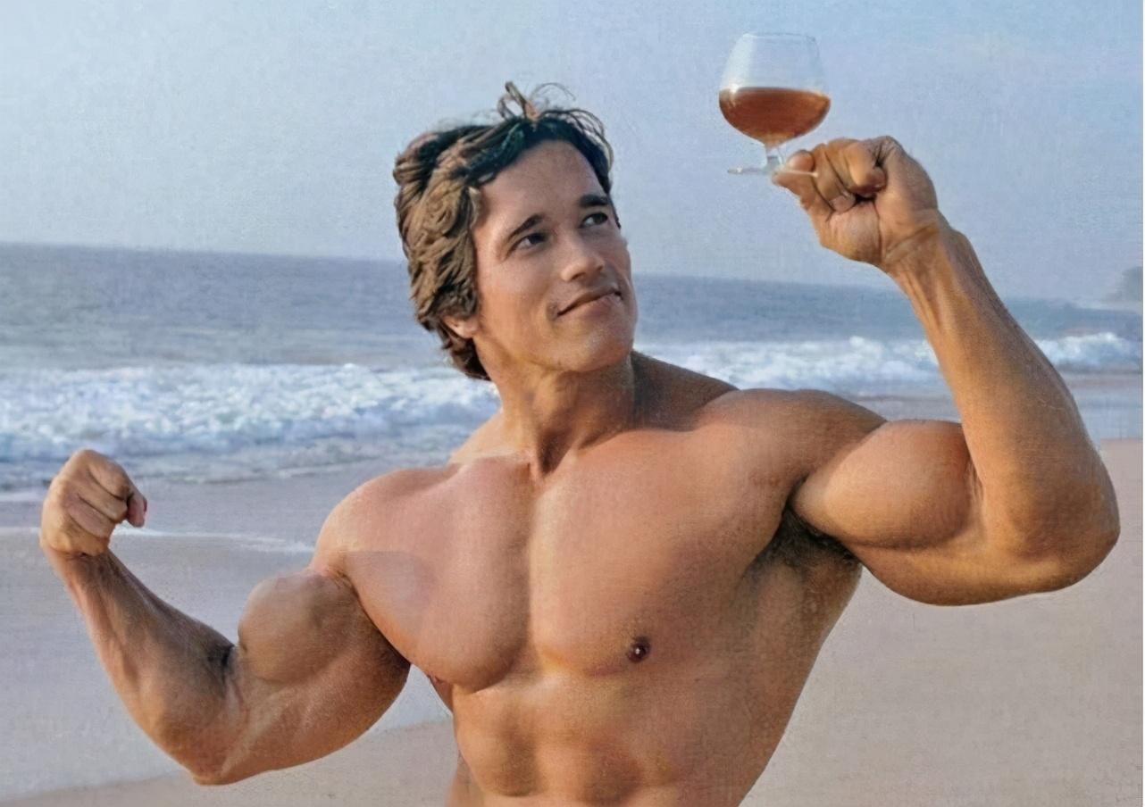 Arnold Schwarzenegger Conquer Gym Motivational Art Large | Etsy