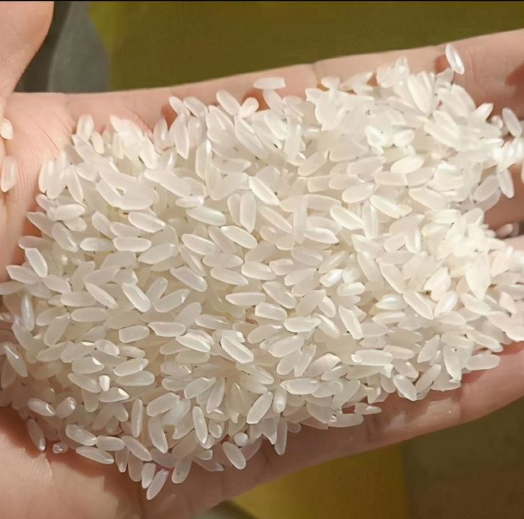 长米粒:长粒米的形状就像它的名字一样,细长细长的,长粒米的两边是