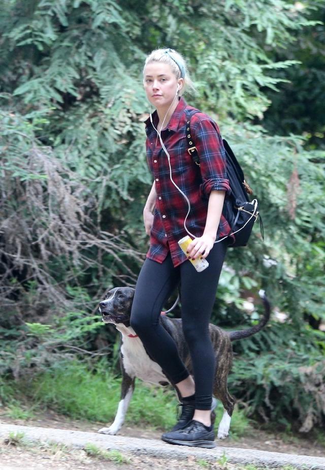 艾梅柏希尔德穿紫色格子衬衣搭无痕裤遛狗尽显清新自然气质