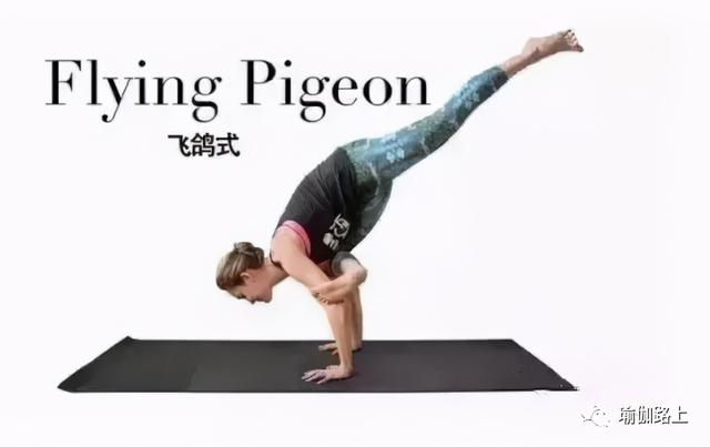 瑜伽鸽子式飞起来是什么感觉?(经典)